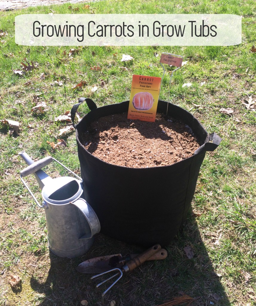 Planting Carrots in Grow Tubs From the Family WIth Love Container Garden