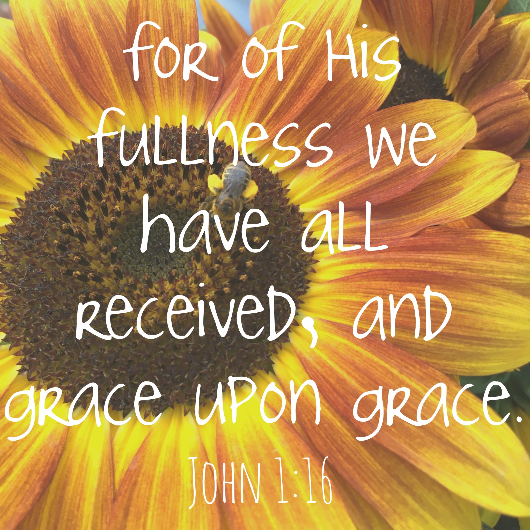 Recipe for Life Cards Week 3 John 1:16 Grace From the Family With Love