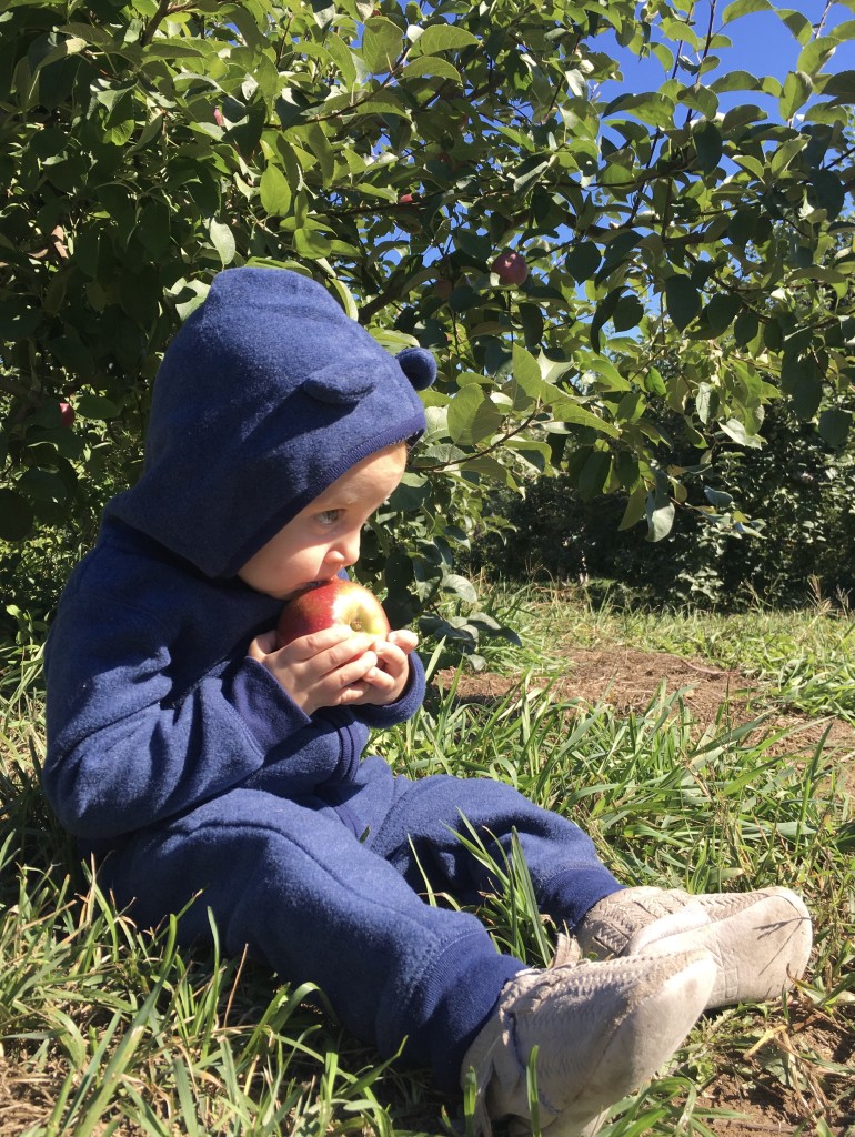 Apple Picking with Freshly Picked Moccasins From the Family With Love