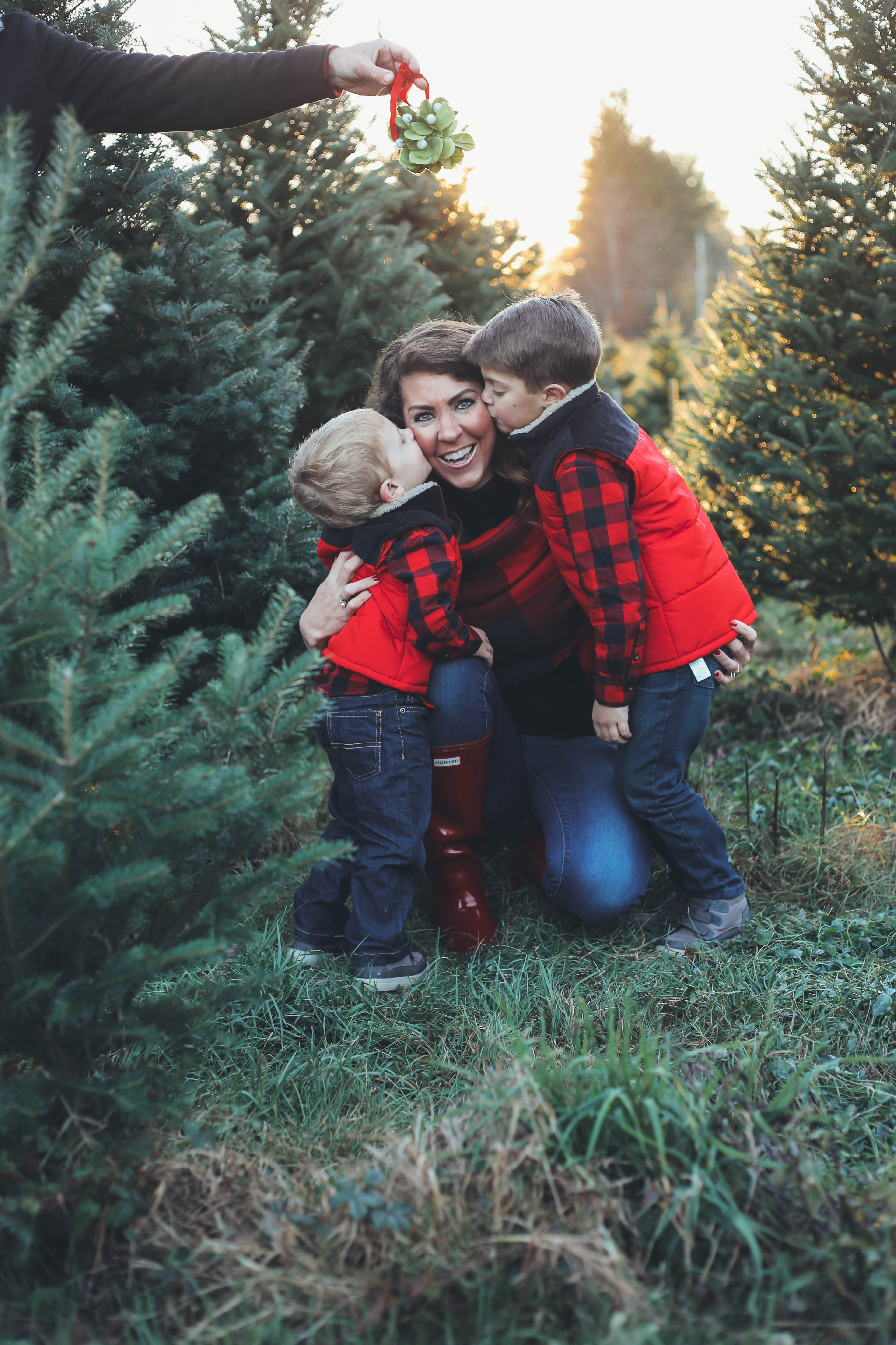 Merry Christmas + Tree Farm Family Pictures - From The Family With Love