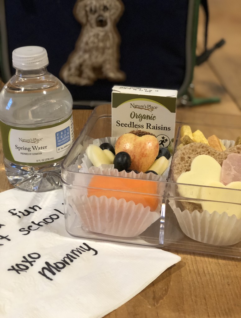 Lunchbox Refresh with My Hannaford Rewards - veggie sticks, apples, carrot sticks, heart cut out sandwich, heart cut out apples, blueberries, mini water bottle, lunchbox napkin note - From the Family With Love