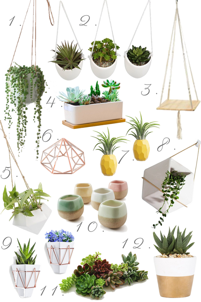 Current Obsession {Amazon} - Succulents and planters - From the Family