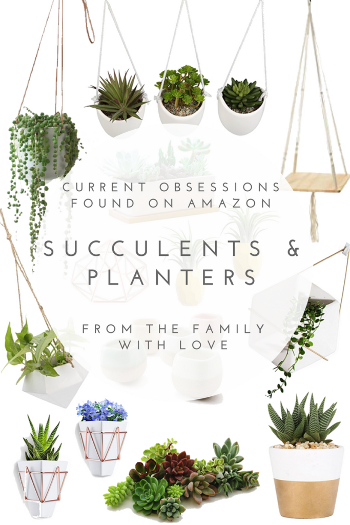 Current Obsession {Amazon} - succulents and planters - From the Family