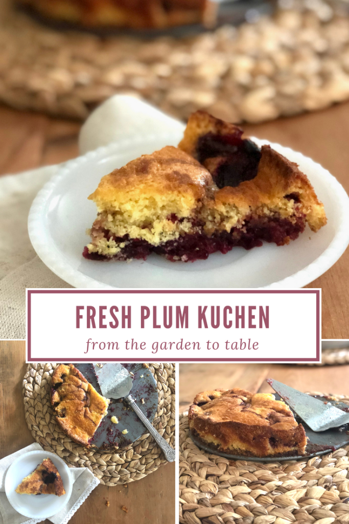Fresh Plum Kuchen Recipe - Simply Garden - From the Family - From the Garden