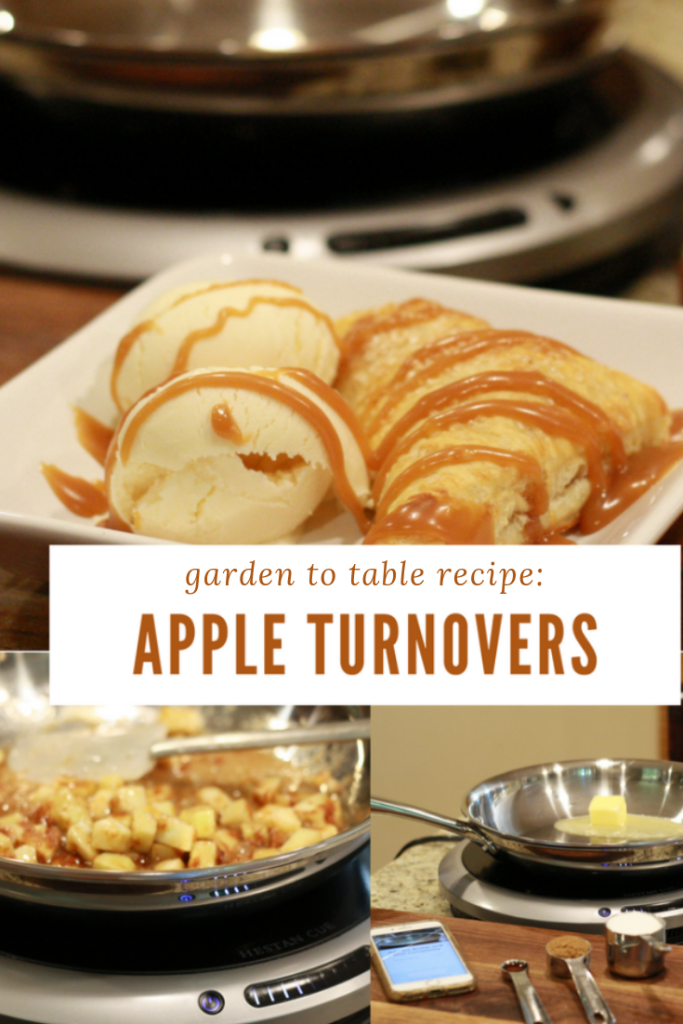 Apple Turnovers Recipe - Garden to Table with Simply Garden - From the Family