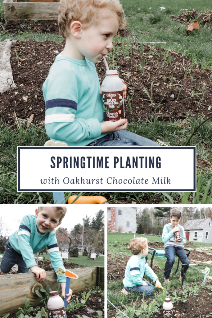 Spring Planting and Mud Season with Oakhurst Chocolate Milk with Spinach Bacon and Blue Cheese Quiche Recipe - From the Family