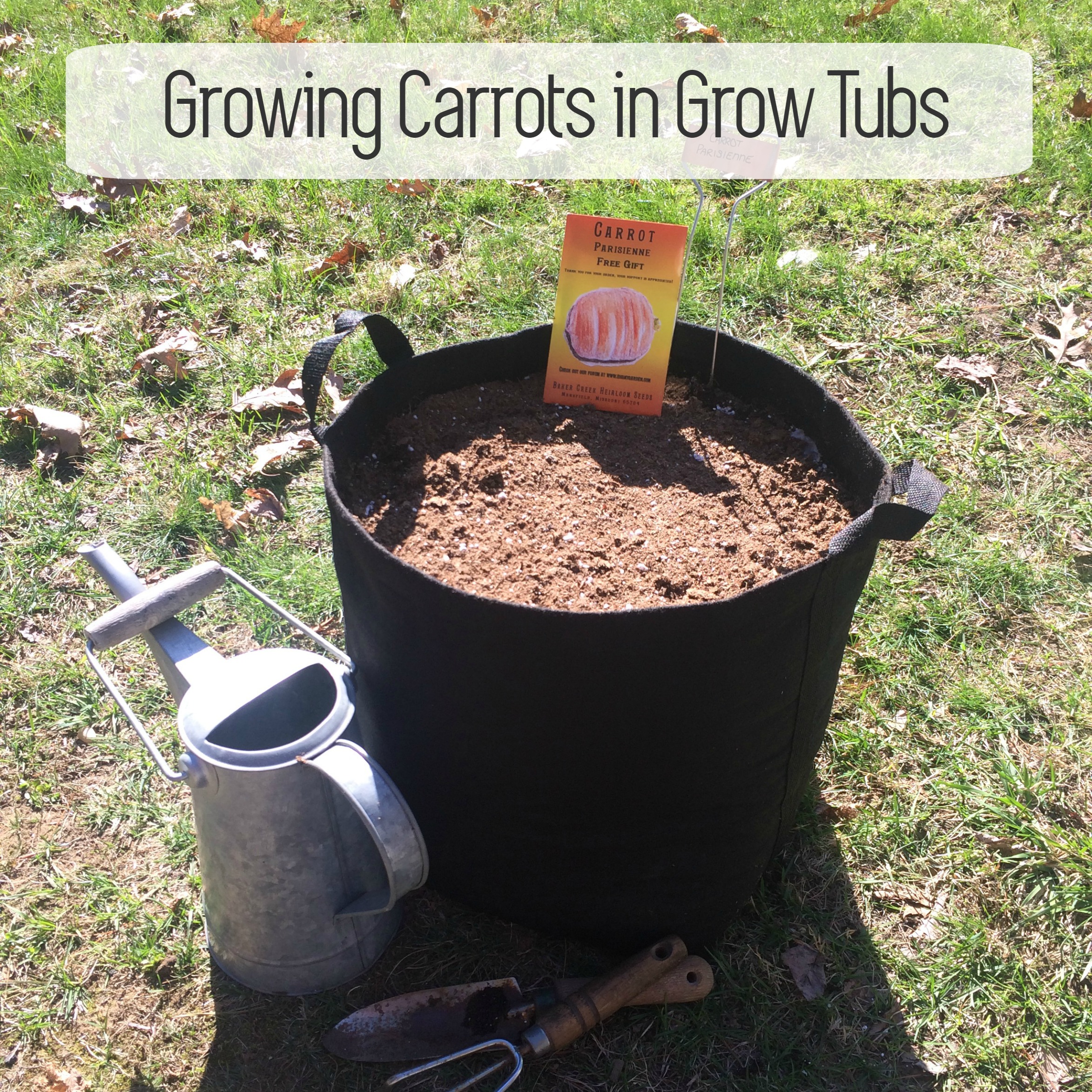 Container Gardening: Planting Carrots in a Grow Tub (Container Garden Carrots)