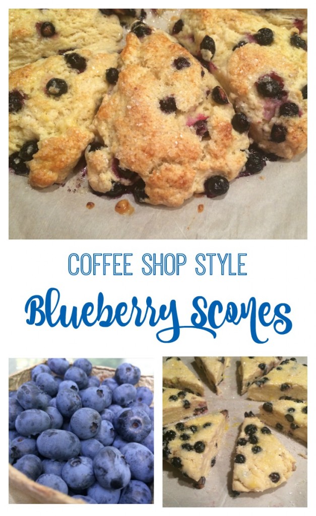 Coffee Shop Style Blueberry Scones recipe From the Family With Love