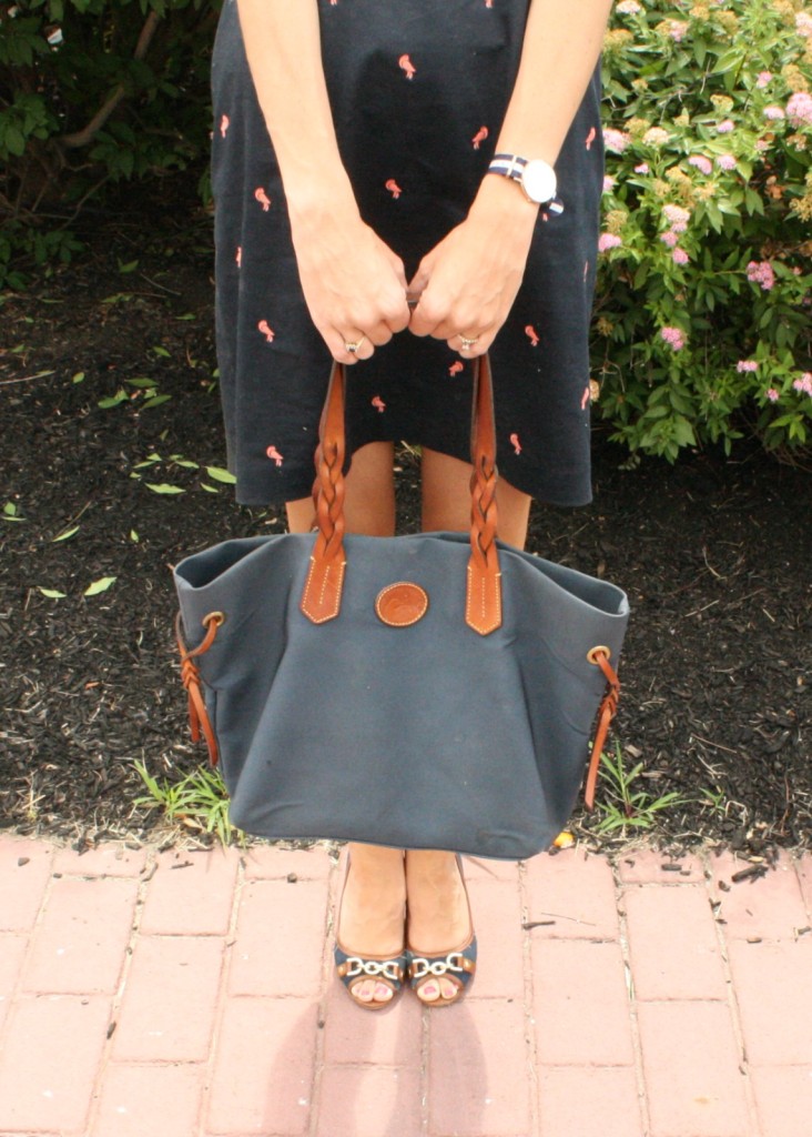 Preppy Brooks Brothers Dress with Dooney and Bourke Bag Tommy Hilfiger Shoes From the Closet From the Family With Love