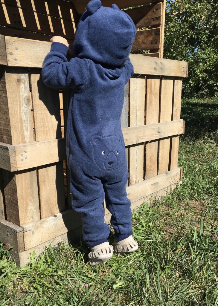 Apple Picking with Freshly Picked Moccasins Purl Sweater From the Family With Love