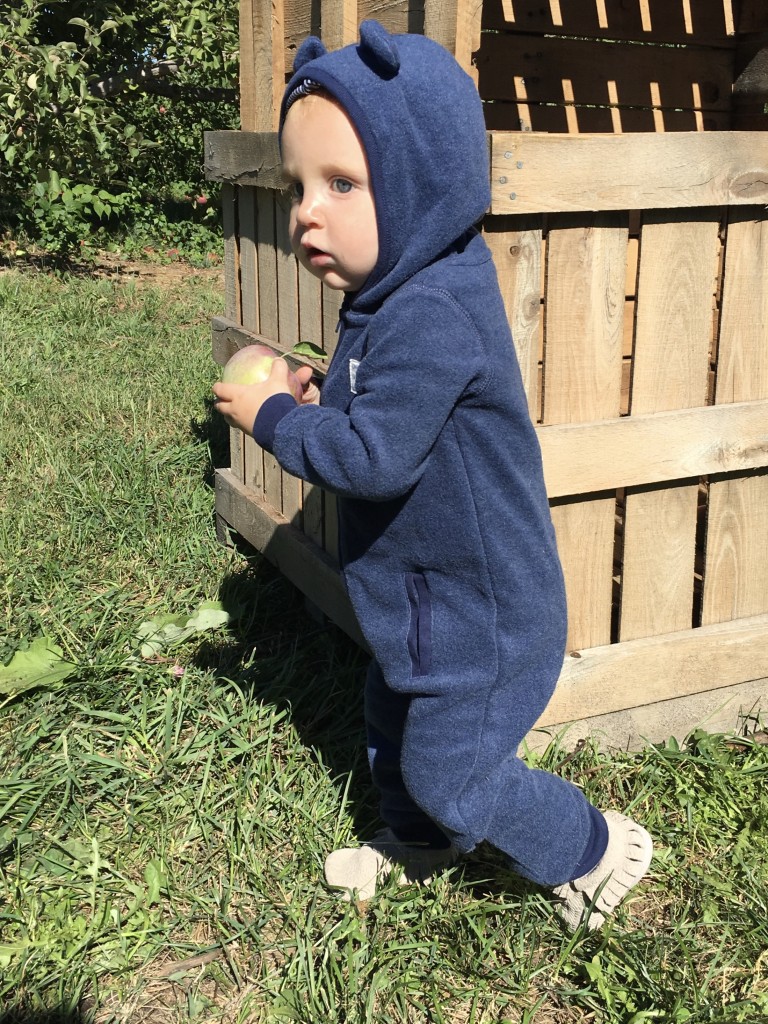 Apple Picking with Freshly Picked Moccasins Purl Sweater From the Family With Love