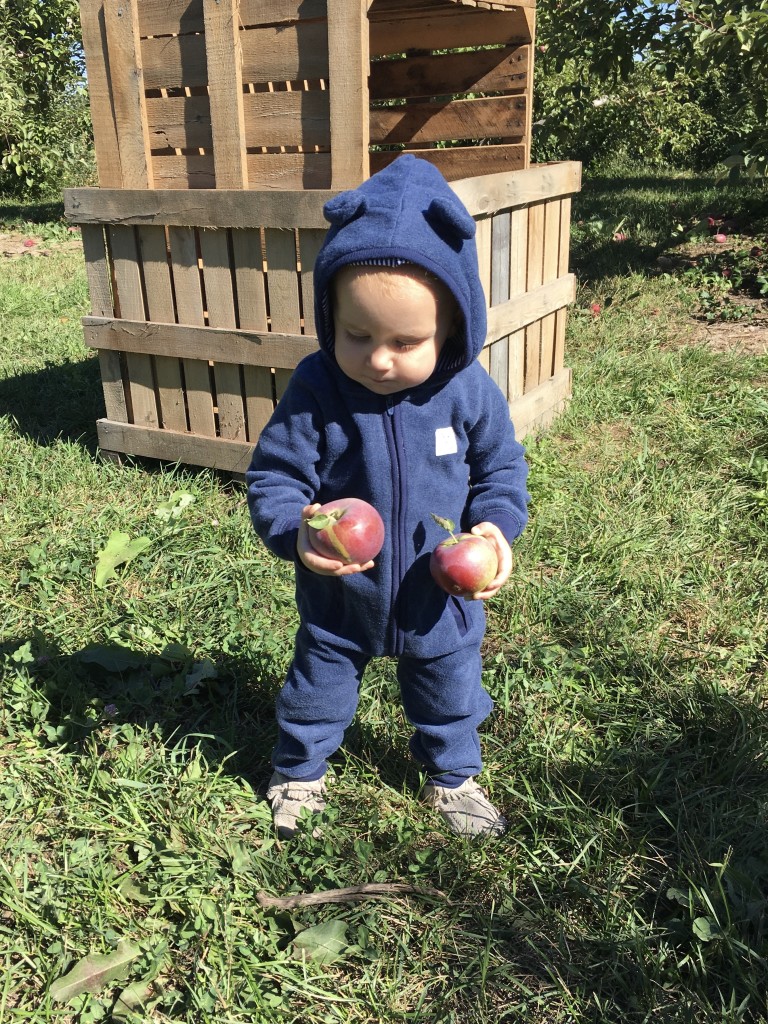 Apple Picking with Freshly Picked Moccasins Purl Sweater From the Family With Love