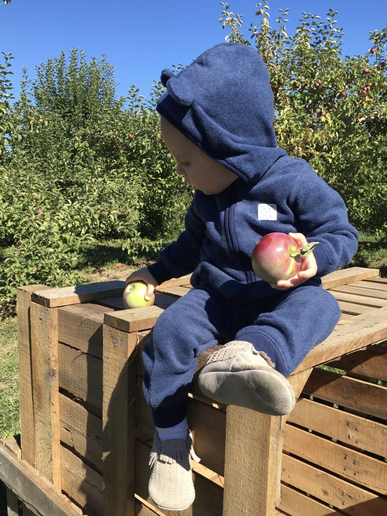 Apple Picking with Freshly Picked Moccasins Purl Sweater From the Family With Love