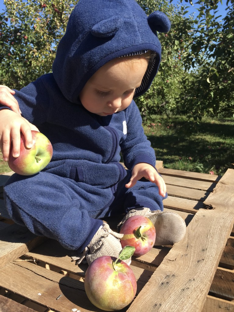 Apple Picking with Freshly Picked Moccasins Purl Sweater From the Family With Love