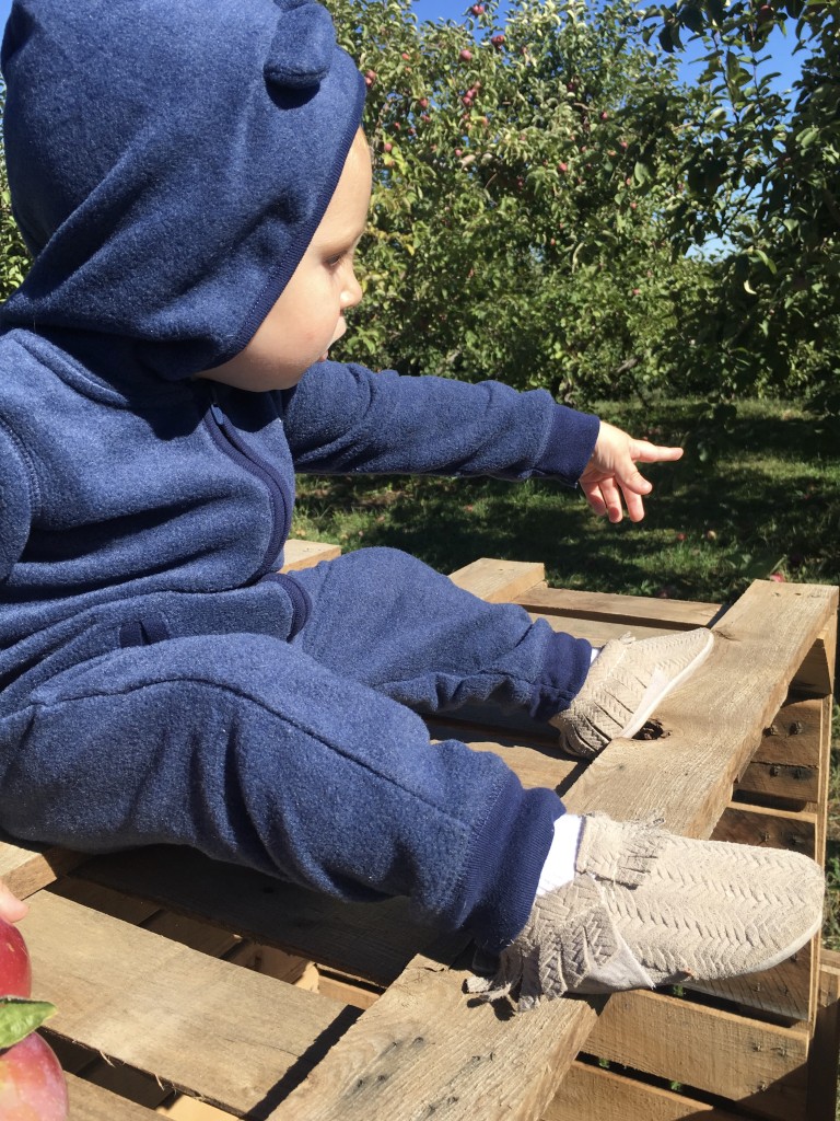 Apple Picking with Freshly Picked Moccasins Purl Sweater From the Family With Love