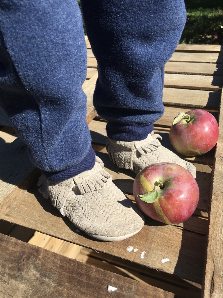 Freshly Picked Moccasins Purl Sweater From the Family with Love