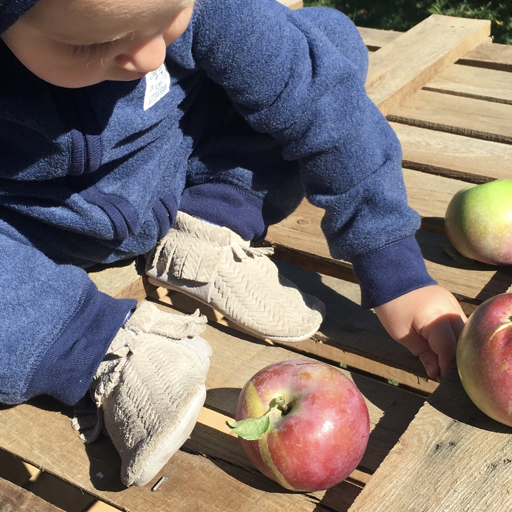 Apple Picking with Freshly Picked Moccasins