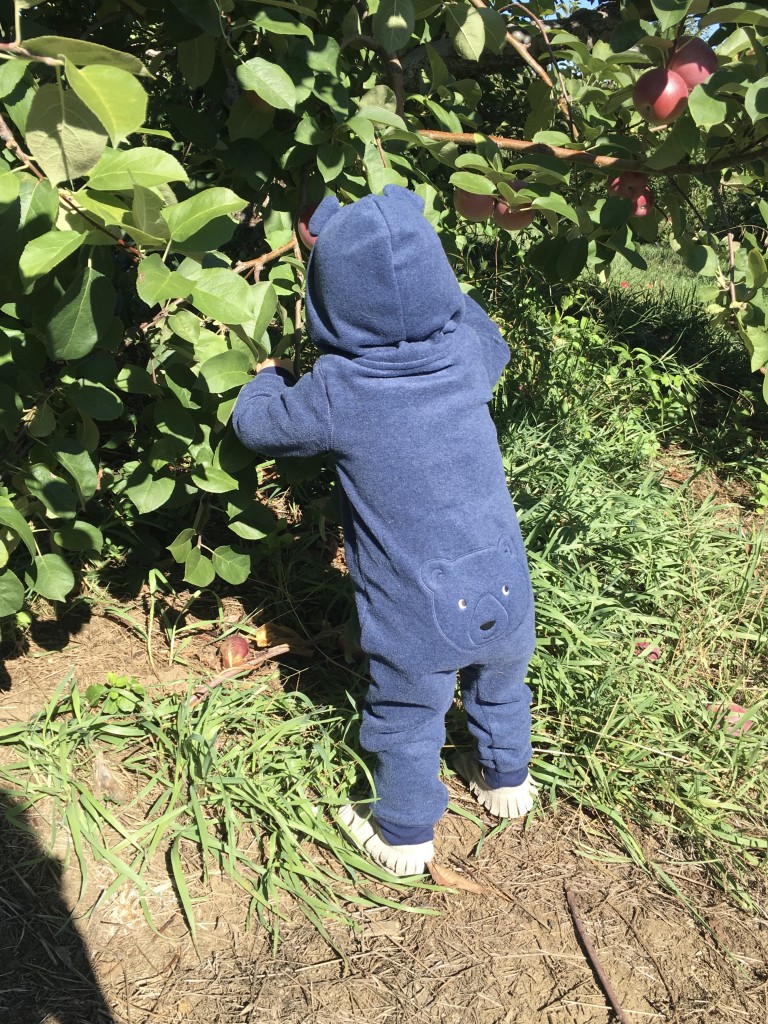 Apple Picking with Freshly Picked Moccasins Purl Sweater From the Family With Love