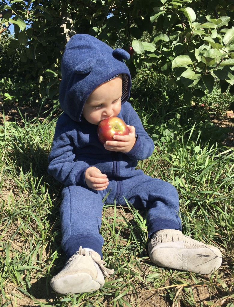 Apple Picking with Freshly Picked Moccasins Purl Sweater From the Family With Love