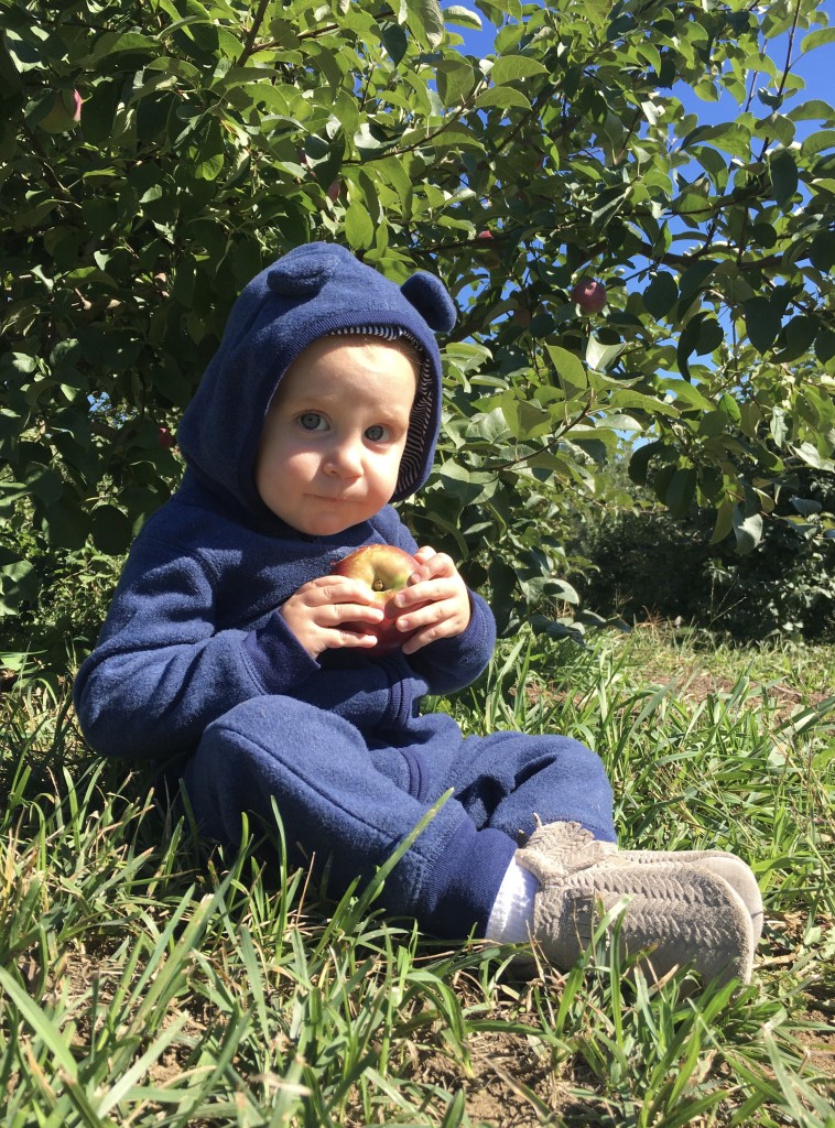 Apple Picking with Freshly Picked Moccasins Purl Sweater From the Family With Love