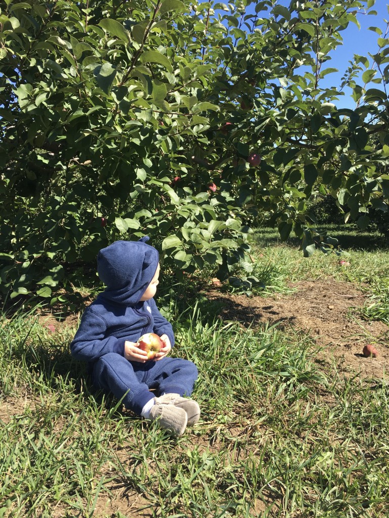 Apple Picking with Freshly Picked Moccasins Purl Sweater From the Family With Love