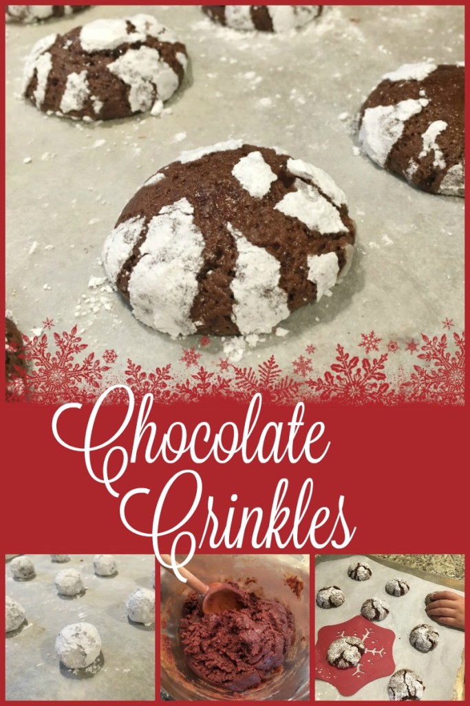 Chocolate Crinkle Cookies Chewy 12 Days of Cookies Recipe From the Family with Love Day 2