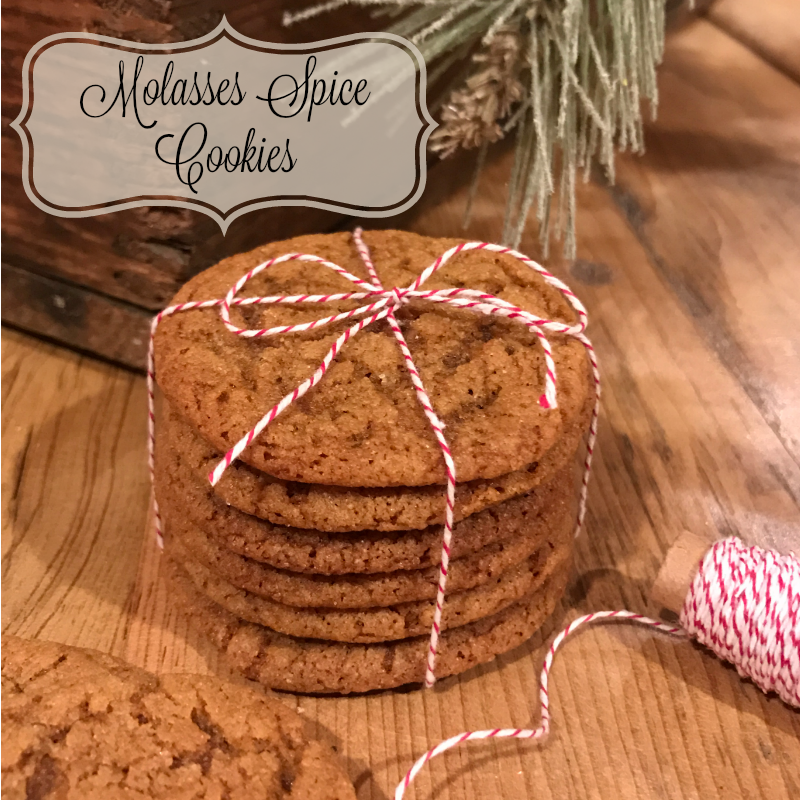 First Day of Baking: Molasses Spice Cookies