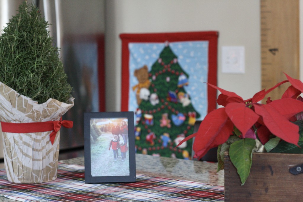 Christmas Kitchen Tour - Christmas Wreaths and Hot Cocoa - rosemary tree and poinsettias - Christmas Home Tour - From the Family with Love