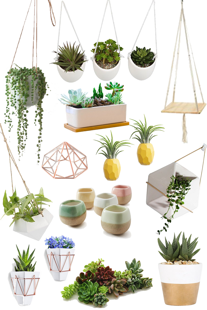 Current {Amazon} Obsession: succulents + planters