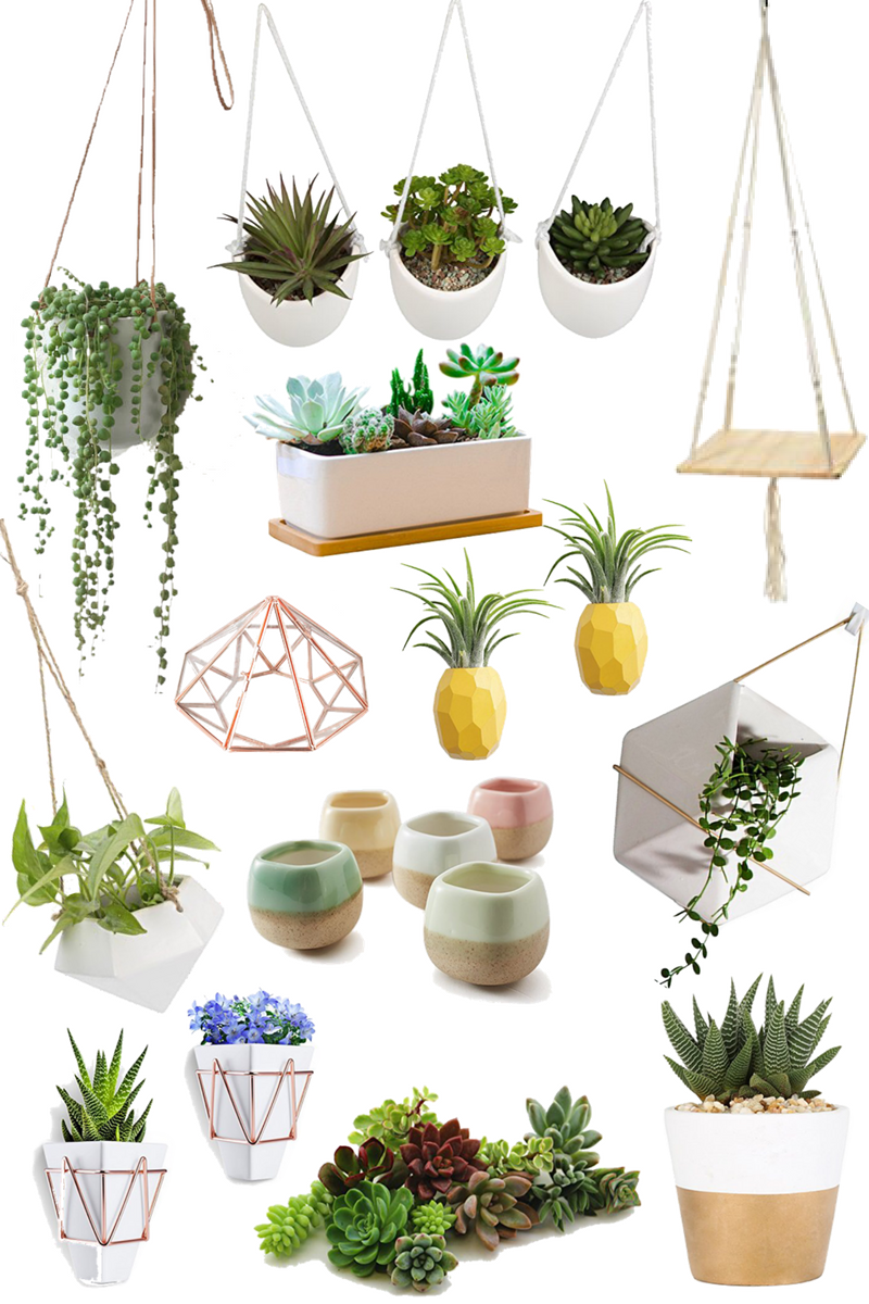 Current Obsession {Amazon} - Succulents and planters - From the Family