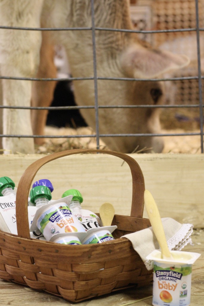 Snack Time at the Farm with Stonyfield YoBaby Banana Mango Yogurt