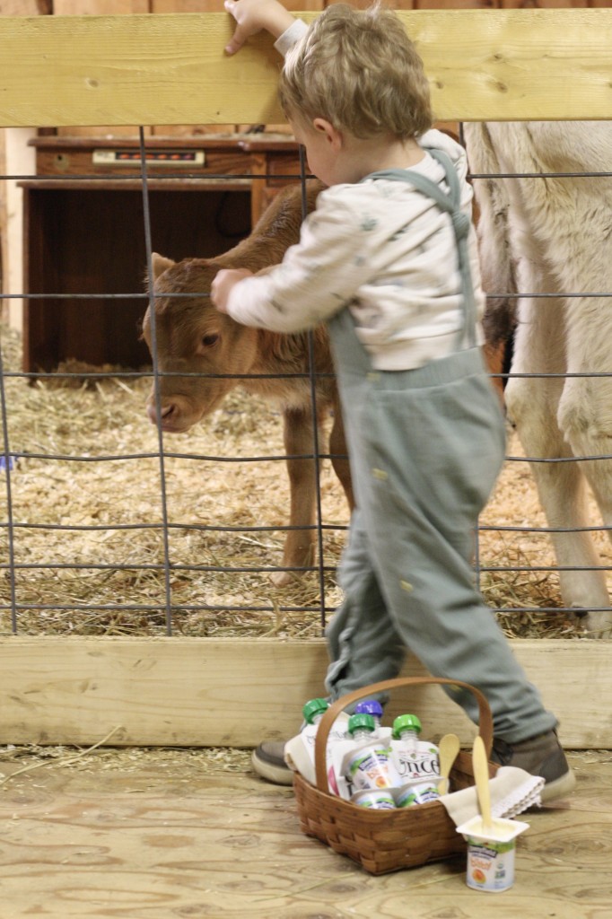 Snack Time at the Farm with Stonyfield YoBaby Banana Mango Yogurt