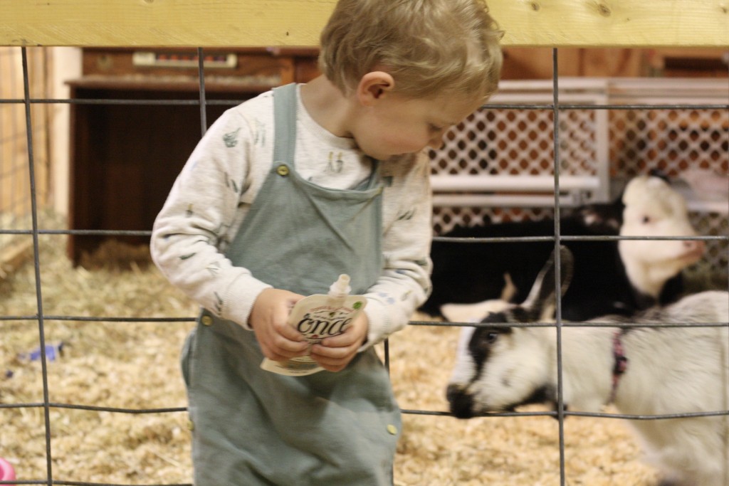 Snack Time at the Farm with Stonyfield YoBaby Banana Mango Yogurt