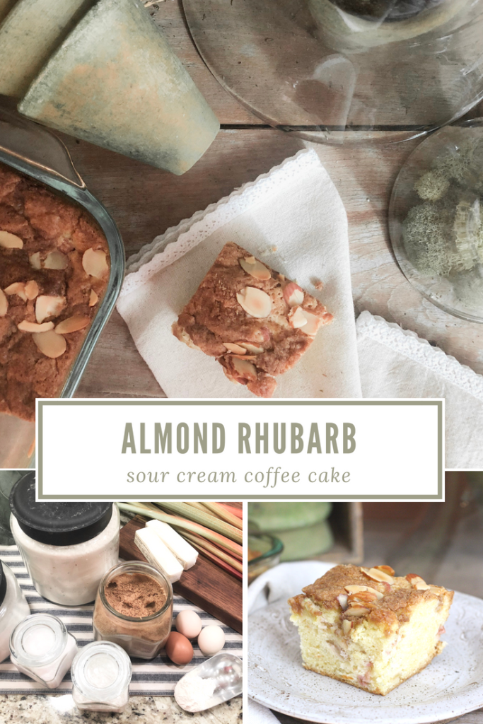 Almond Rhubarb Coffee Cake Recipe - From the Family With Love