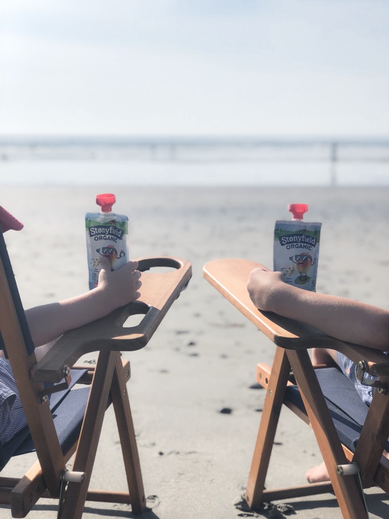 From the Road: NH Jenness State Beach Rye NH - Stonyfield yogurt pouches