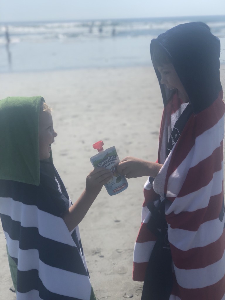 From the Road: NH Jenness State Beach Rye NH - Stonyfield yogurt pouches - From the Family