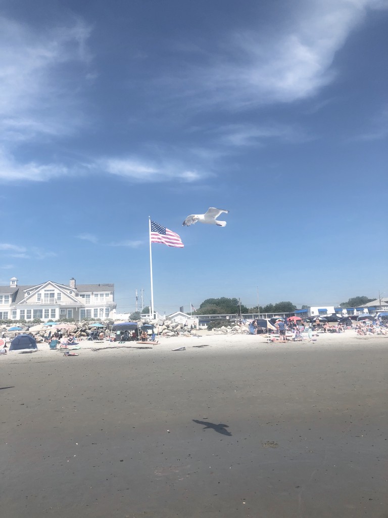 From the Road: NH Jenness State Beach Rye NH - Stonyfield yogurt pouches - From the Family