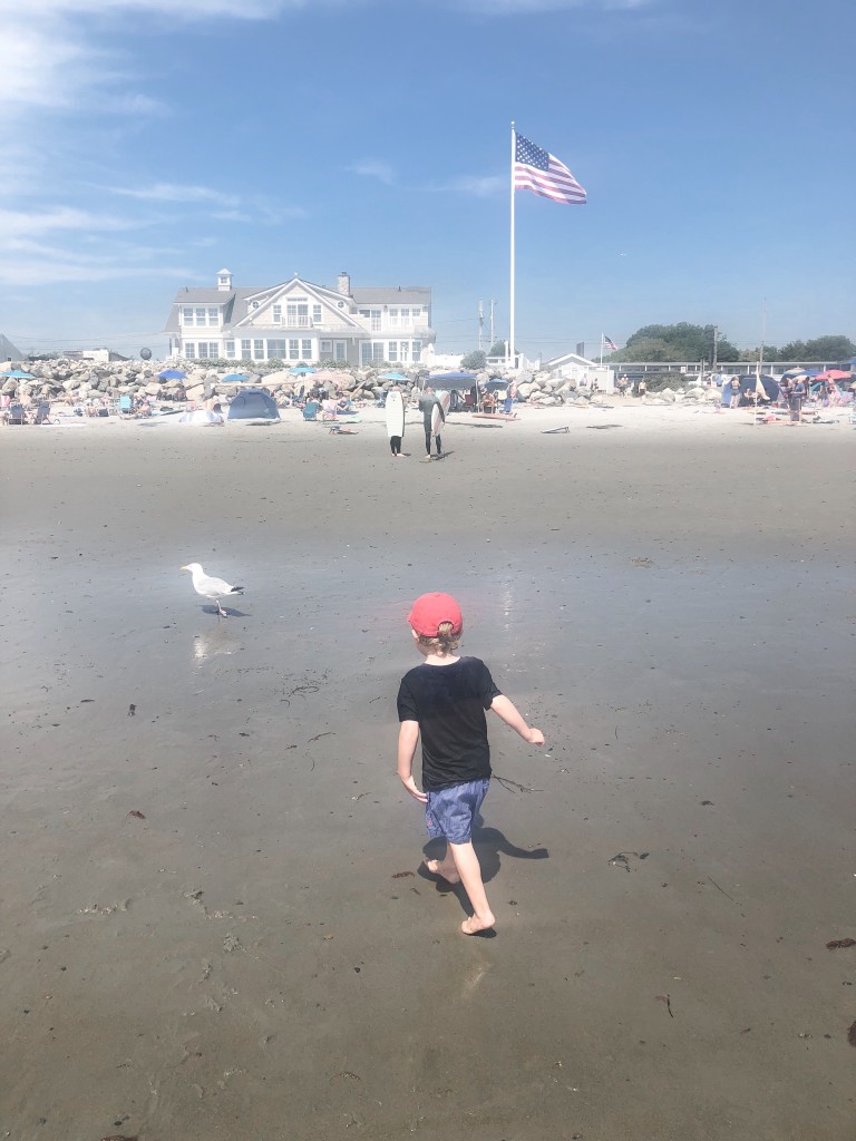 From the Road: NH Jenness State Beach Rye NH - chase seagulls