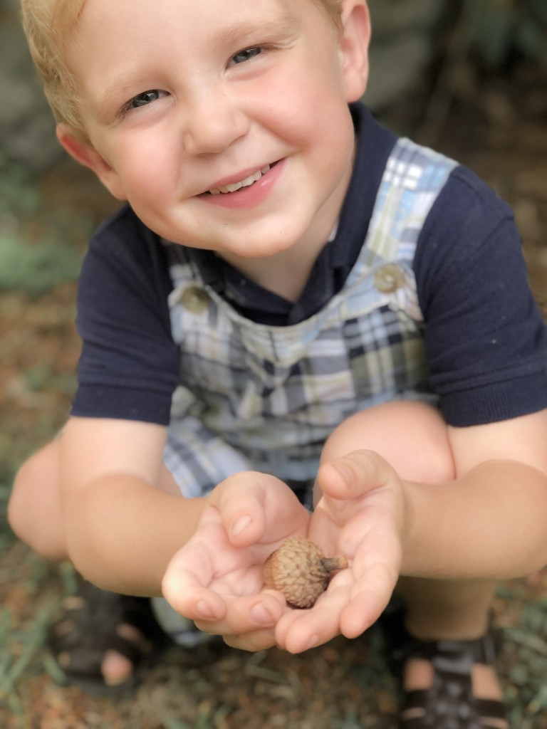 Fall Bucket List - nature walk - From the Family