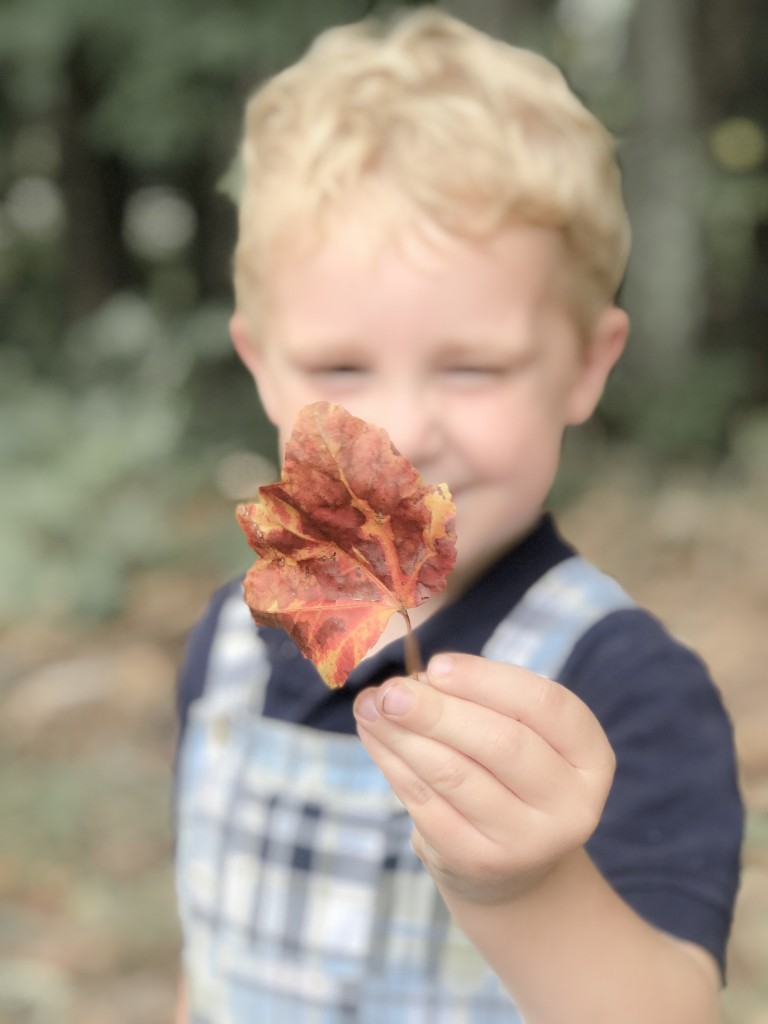 Fall Bucket List - nature walk - From the Family 