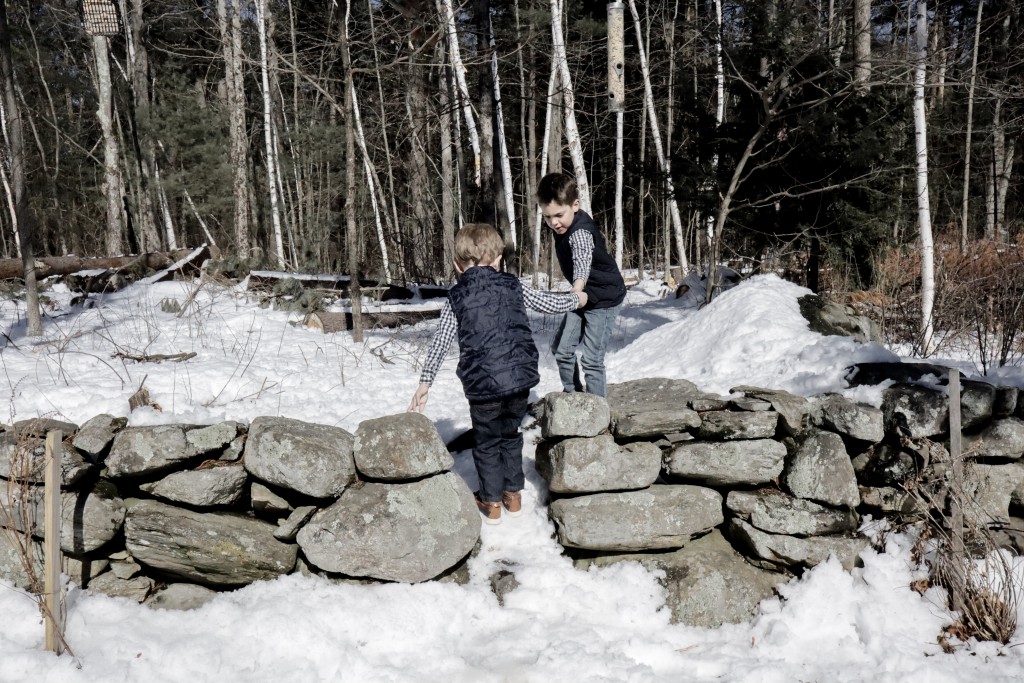 Maple Walnut Scones - Maple Tapping and Mud Season with Oakhurst Milk