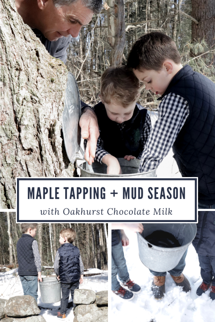 Maple Walnut Scones - Maple Tapping and Mud Season with Oakhurst Milk