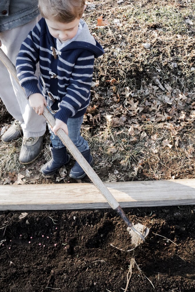 Spring Planting and Mud Season with Oakhurst Chocolate Milk with Spinach Bacon and Blue Cheese Quiche Recipe - From the Family