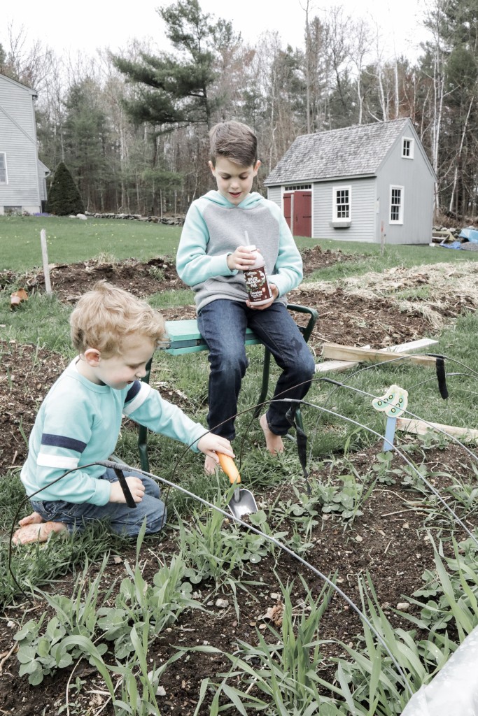 Spring Planting and Mud Season with Oakhurst Chocolate Milk with Spinach Bacon and Blue Cheese Quiche Recipe - From the Family