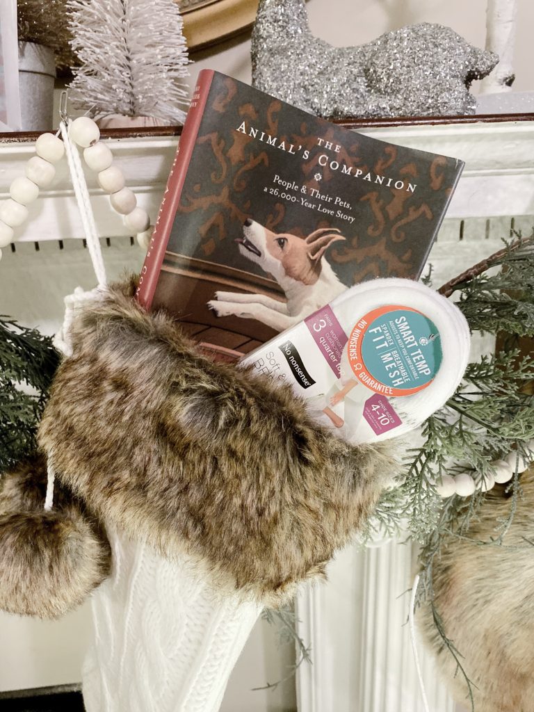 Stocking Stuffers Gift Guide with Babbleboxx, Trekz Air AfterShokz, Furry Friends Build A Bear, Charlee Bear Dog Treats, Maglite Roadside Safety, No Nonsense Socks, Aura Analog Photo Printing Service and Frame, People and Their Pets Book