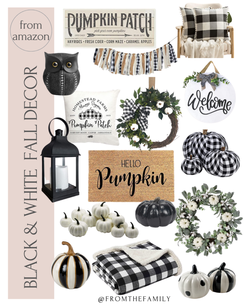 Black and White fall decor for the home from Amazon Shopping Guide