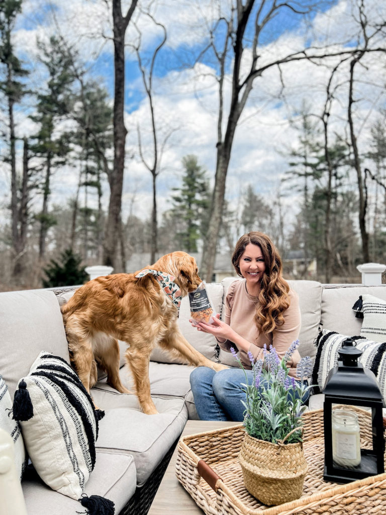 Everyday Pup Essentials with Babbleboxx